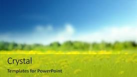  Presentation with perfect - Theme having field of spring flowers background and a gold colored foreground