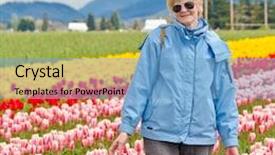  Presentation with america - Audience pleasing theme consisting of field of tulips at skagit washington state america backdrop and a light blue colored foreground