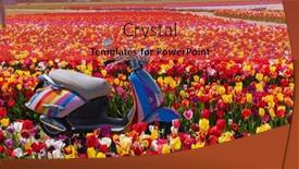  Presentation with motorbike - Presentation having field-of-tulips-with-motorbike background and a red colored foreground