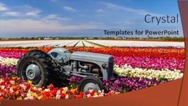  Presentation with tractor - Presentation with field-of-tulips-with-old background and a teal colored foreground