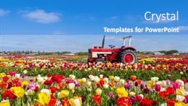  Presentation with tractor - Presentation theme consisting of field-of-tulips-with-old background and a teal colored foreground