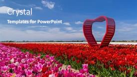  Presentation with tulips - Slide set having field-of-tulips-with-red background and a teal colored foreground