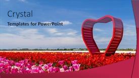  Presentation with tulips - PPT theme enhanced with field-of-tulips-with-red background and a teal colored foreground