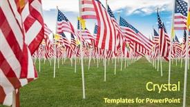  Presentation with veterans day - Slide set featuring field of veterans day american background and a tawny brown colored foreground