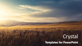  Presentation with tuscany - Slide set featuring field-of-wheat-in-tuscany background and a wine colored foreground