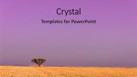  Presentation with single tree - Audience pleasing theme consisting of field of wheat on purple backdrop and a coral colored foreground