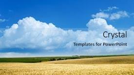  Presentation with wheat - Presentation theme consisting of field of wheat under cloudy background and a light blue colored foreground