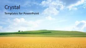  Presentation with wheat - Amazing PPT layouts having field of wheat backdrop and a light blue colored foreground