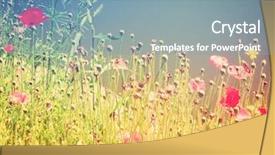  Presentation with vintage retro - Audience pleasing slide set consisting of field of wildflowers done backdrop and a mint green colored foreground