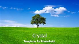  Presentation with oak tree - Cool new PPT theme with field on blue sky backdrop and a shamrock green colored foreground