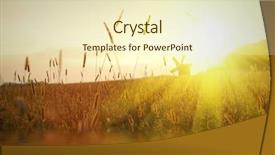  Presentation with sunset water seagull - Slides featuring field on sunset with water background and a cream colored foreground