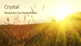  Presentation with field of dreams - Amazing slides having field on sunset backdrop and a cream colored foreground