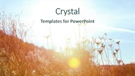  Presentation with wildflower field - Slides with anne's lace meadow wildflowers background and a cool aqua colored foreground