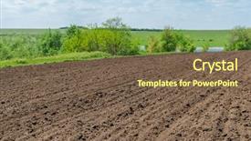  Presentation with modern agriculture icons and field - PPT theme featuring field soft focus on bottom background and a  colored foreground