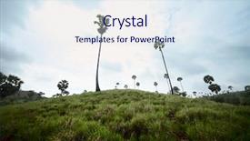  Presentation with palm - Beautiful presentation featuring field tall grass - palm trees of the national backdrop and a sky blue colored foreground