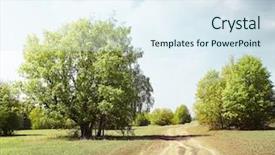  Presentation with tall - Amazing slides having field tall grass - rural road between green trees backdrop and a  colored foreground