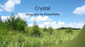  Presentation with herbs - Presentation theme with field tall grass - wild meadow with herbs background and a light blue colored foreground