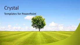  Presentation with sky blue - Slides featuring diagnosis - flu medical concept with blue pills injections and syringe selective focus blurred background background and a white colored foreground