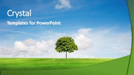  Presentation with sky blue - Presentation having field tree and blue sky background and a teal colored foreground