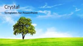  Presentation with green tree - Beautiful PPT layouts featuring field tree and blue sky backdrop and a light blue colored foreground