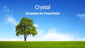  Presentation with water blue sky and peaceful - Amazing slide deck having field tree and blue sky backdrop and a cobalt blue colored foreground