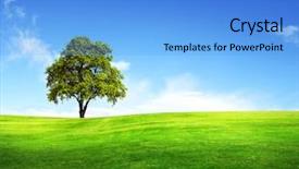  Presentation with green tree - Presentation theme enhanced with field tree and blue sky background and a light blue colored foreground