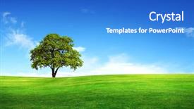  Presentation with blue sky - Cool new presentation theme with field tree and blue sky backdrop and a cobalt blue colored foreground
