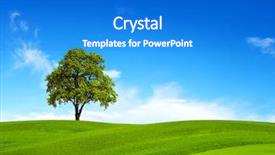  Presentation with law blue sky scales of justice - Cool new presentation design with field tree and blue sky backdrop and a cobalt blue colored foreground