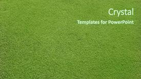  Presentation with beautiful green - Amazing PPT theme having field with beautiful green grass backdrop and a tawny brown colored foreground