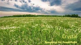  Presentation with gloomy - Presentation theme with field with daisies under gloomy sky background and a tawny brown colored foreground