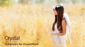  Presentation with angel wings - Audience pleasing presentation theme consisting of field with feather white wings backdrop and a yellow colored foreground