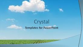  Presentation with sunflowers - Beautiful slides featuring field with green sunflowers under clouds backdrop and a light blue colored foreground