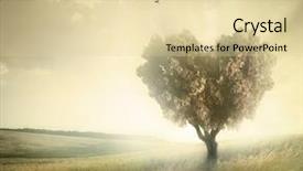 Presentation with heart shape tree - Audience pleasing PPT layouts consisting of field with heart shape tree backdrop and a lemonade colored foreground