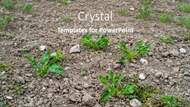  Presentation with field - Beautiful presentation featuring field-with-lack-of-water backdrop and a gray colored foreground