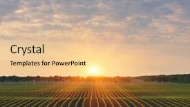  Presentation with corn field - PPT theme consisting of field with rows of corn background and a lemonade colored foreground