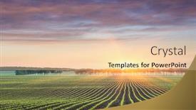  Presentation with corn field - Slides consisting of field-with-rows-of-young background and a lemonade colored foreground