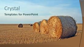  Presentation with straw - Cool new presentation design with field-with-straw-rolls backdrop and a light blue colored foreground