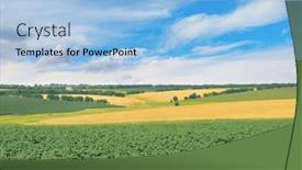  Presentation with sunflower sunflower sunflower sunflower sunflower - Slide set enhanced with field-with-young-sprouts background and a light blue colored foreground