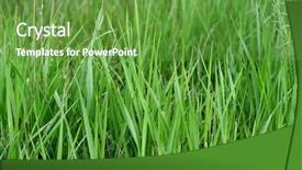  Presentation with tall - Cool new PPT theme with field backdrop and a  colored foreground