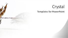  Presentation with santa sleigh - Presentation theme having fieldcraft - digital composite of white transition background and a white colored foreground