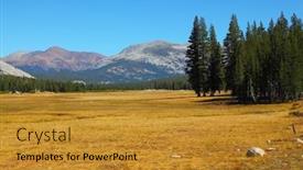  Presentation with yosemite - Presentation design consisting of fields-and-mountains-in-yosemite background and a gold colored foreground