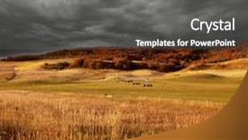  Presentation with fall season - Slides with fields in fall season background and a dark gray colored foreground