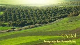  Presentation with morocco - Presentation having fields in morocco background and a tawny brown colored foreground
