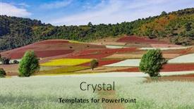  Presentation with sugarcane fields mountains landscape nature - PPT layouts with fields-landscaped-shan-state-myanmar background and a mint green colored foreground