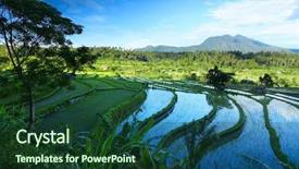  Presentation with rice fields - Amazing slides having a colorful watercolor wash backdrop and a sky blue colored foreground