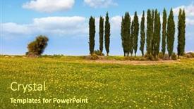  Presentation with sun desert - Colorful presentation theme enhanced with fields-of-flowers backdrop and a tawny brown colored foreground