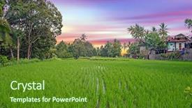  Presentation with rice fields - Cool new presentation design with fields on bali in indonesia backdrop and a tawny brown colored foreground
