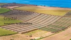  Presentation with morocco - Amazing slides having fields-on-shore-of-atlantic backdrop and a coral colored foreground