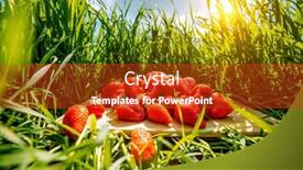  Presentation with agriculture industry - Beautiful PPT layouts featuring fields-outdoor-plantation-with-strawberries backdrop and a crimson colored foreground