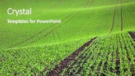  Presentation with green hills - Colorful slide set enhanced with fields waves - pastoral green field in beautiful backdrop and a seafoam green colored foreground